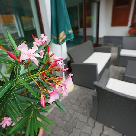 Landhotel Gasthof Zwota Klingenthal Exteriör bild