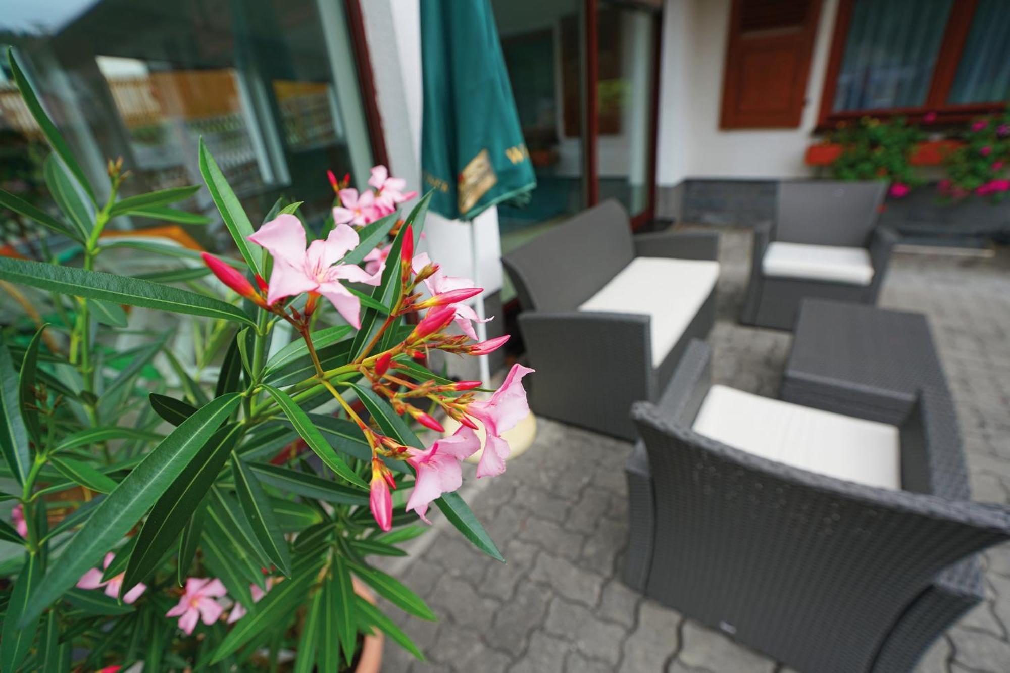 Landhotel Gasthof Zwota Klingenthal Exteriör bild