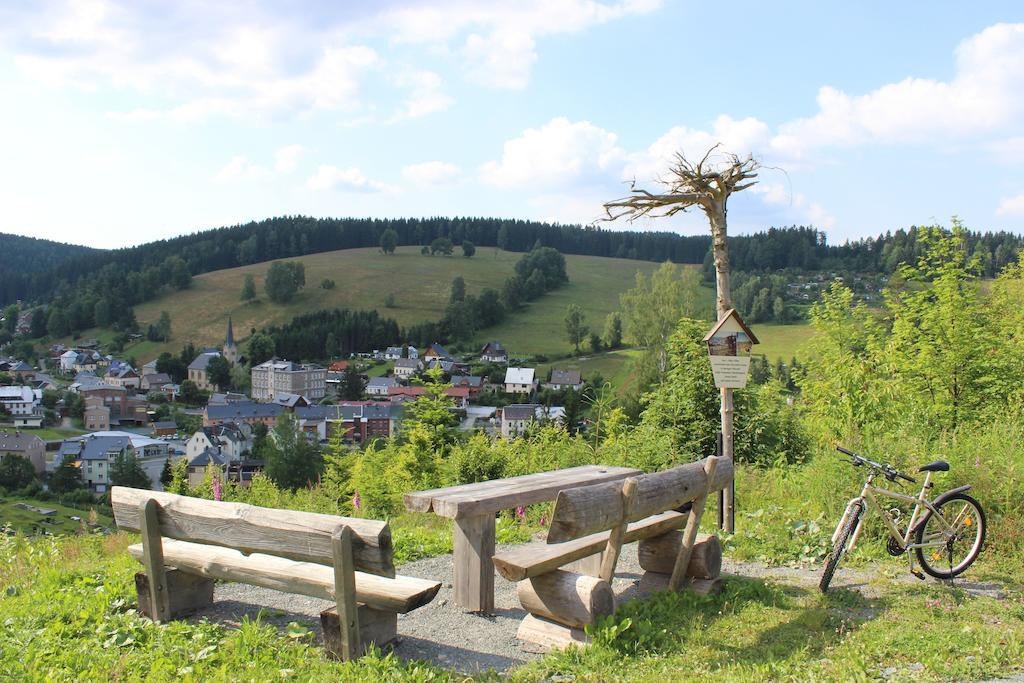 Landhotel Gasthof Zwota Klingenthal Exteriör bild