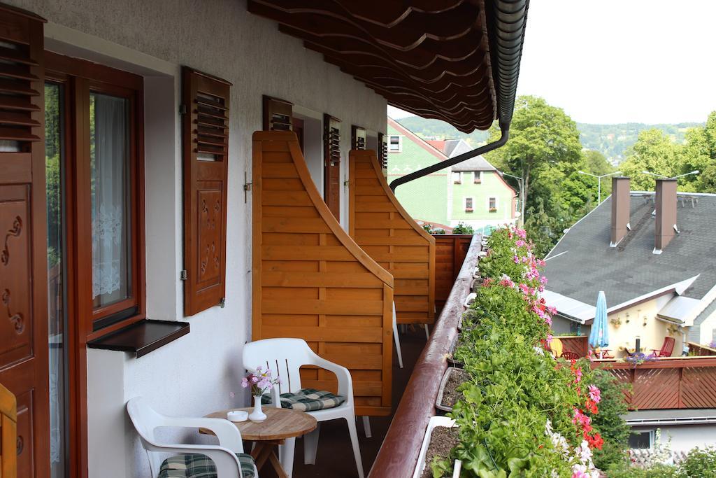 Landhotel Gasthof Zwota Klingenthal Exteriör bild